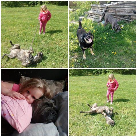 Atena i jej przyjaciele